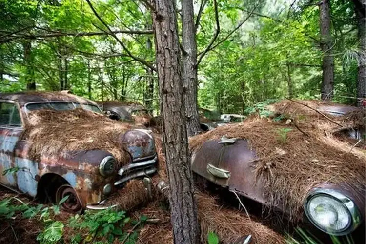 Steps to Take to Prepare Your Car Before Taking it to a Junkyard