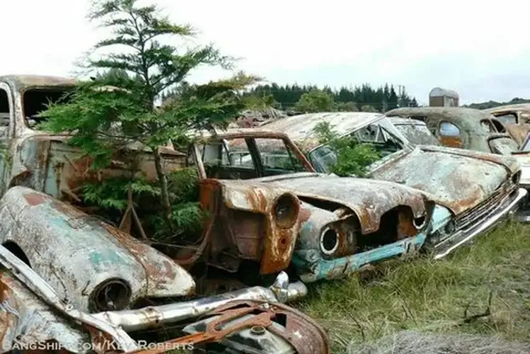 Tips for Evaluating the‌ Condition and Value of ⁢Junk Cars in‍ Private Sales