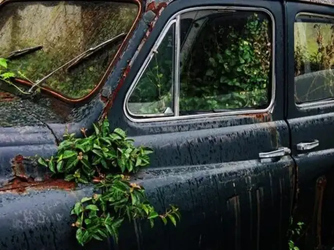 Effortlessly Get Rid of Your Unwanted Vehicles in Cedar Point, IL