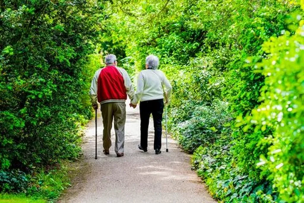 Types of Mobility Aids: A Comprehensive Overview