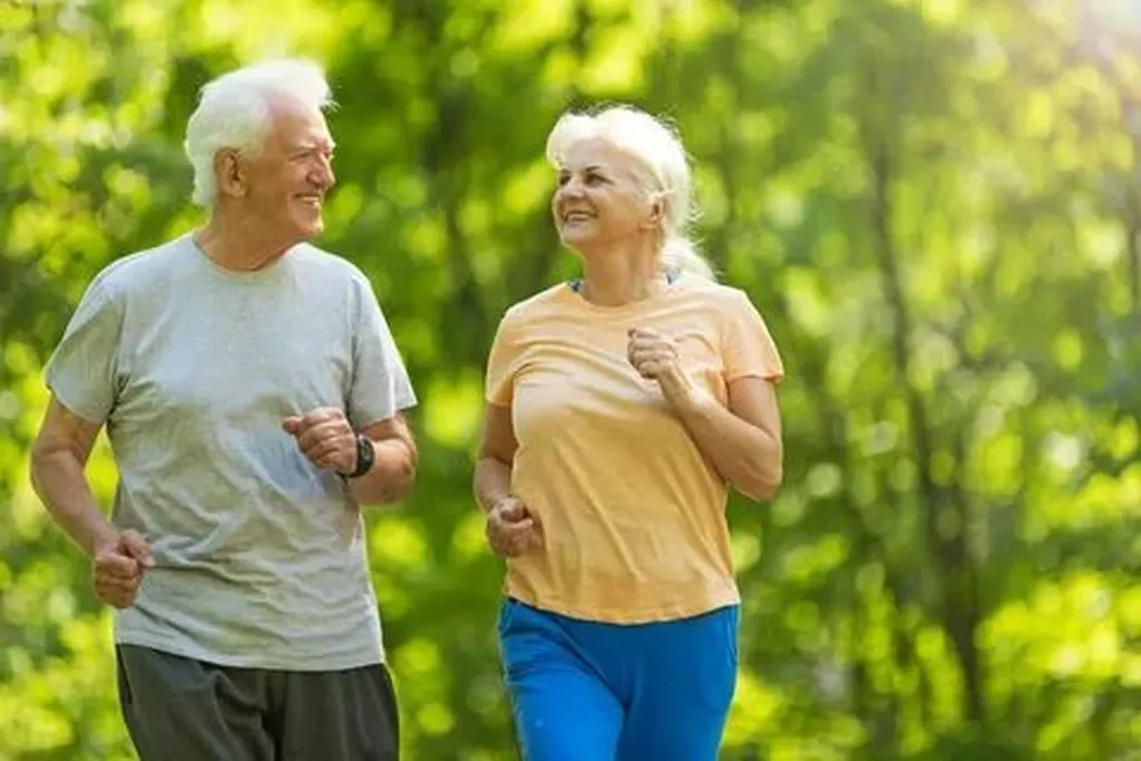 Types of Walkers: Choosing the Right One for Your Needs