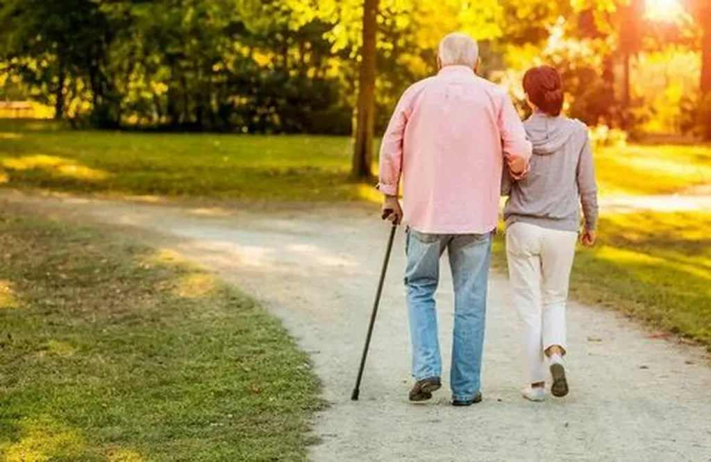 Top Recommended Assistive Devices for Elderly Independence