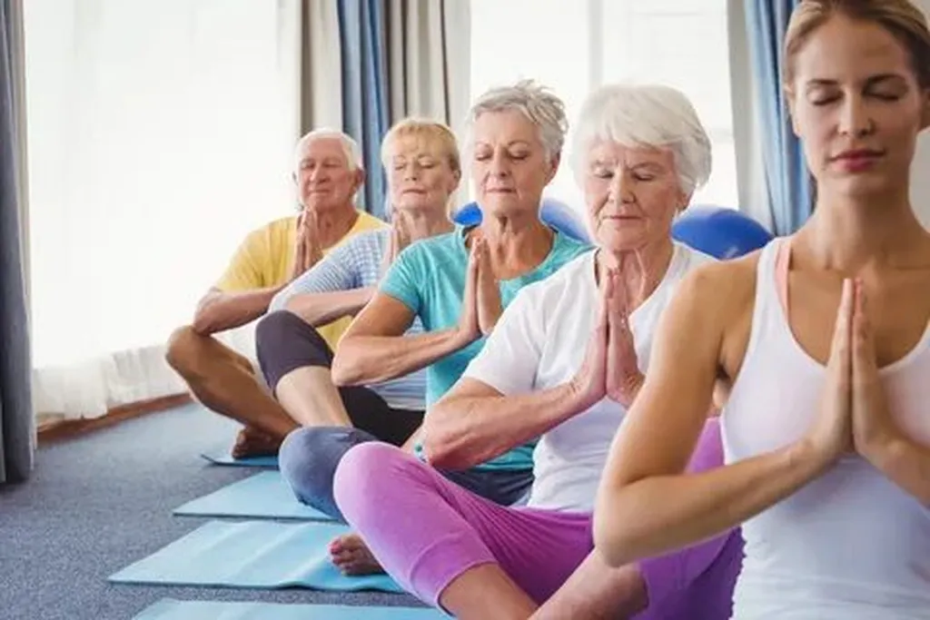 Top Recommendations for Mobility Aids