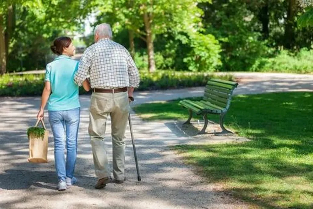 Overview of Seniors' Technology Usage Trends