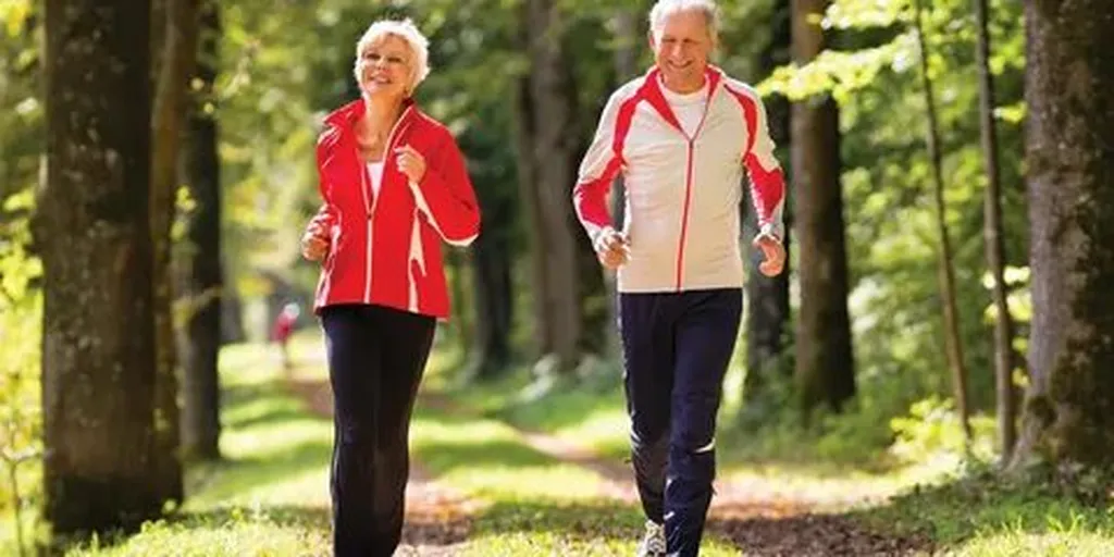 Types of Walking Aids to Improve Mobility and Independence