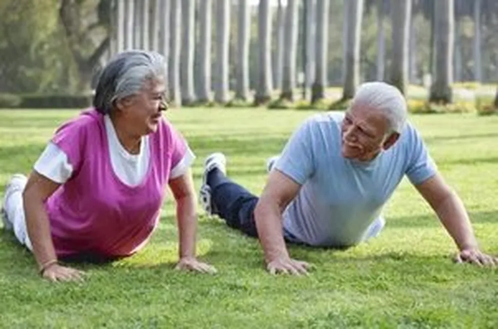 Exploring the Range of Assistive Devices Available