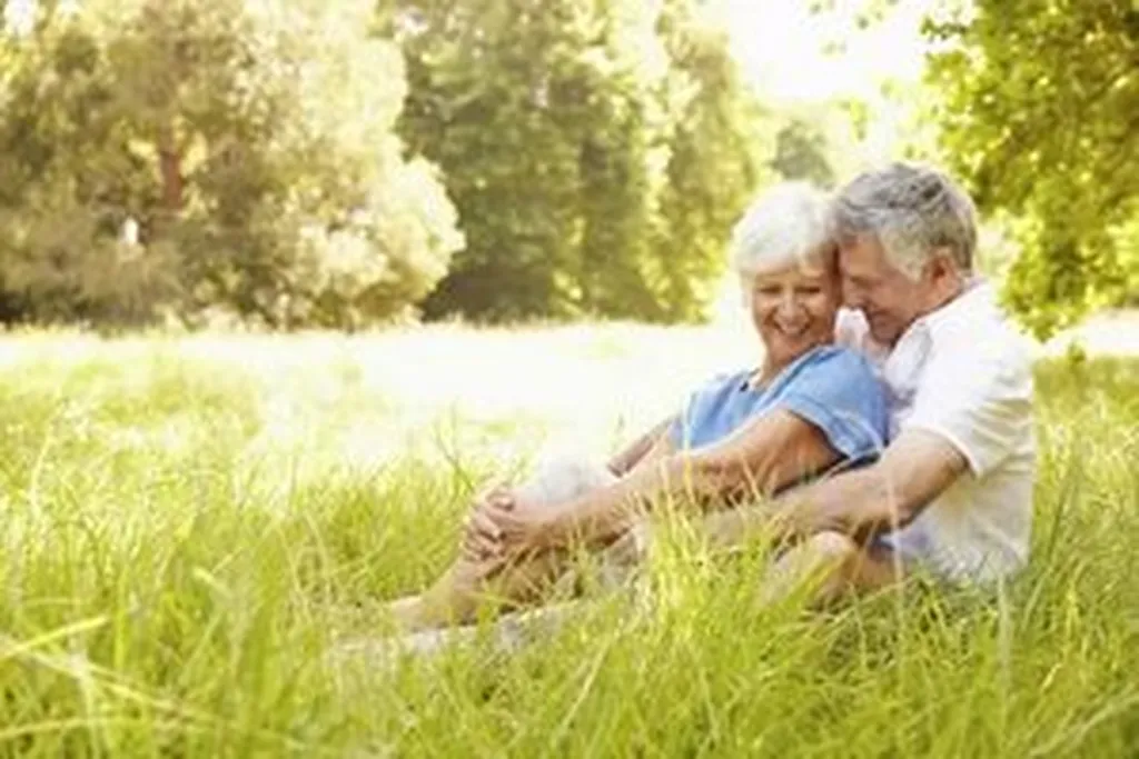 Top Recommendations for Different Needs