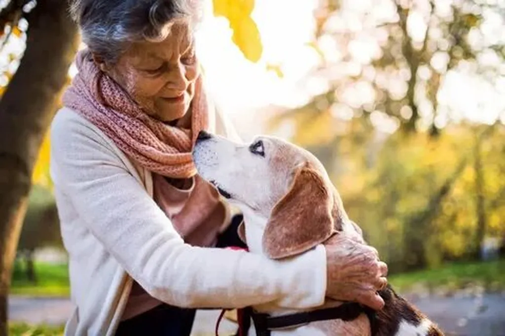 Utilizing Mobility Aids Effectively: Tips for Enhancing Daily Living Independence