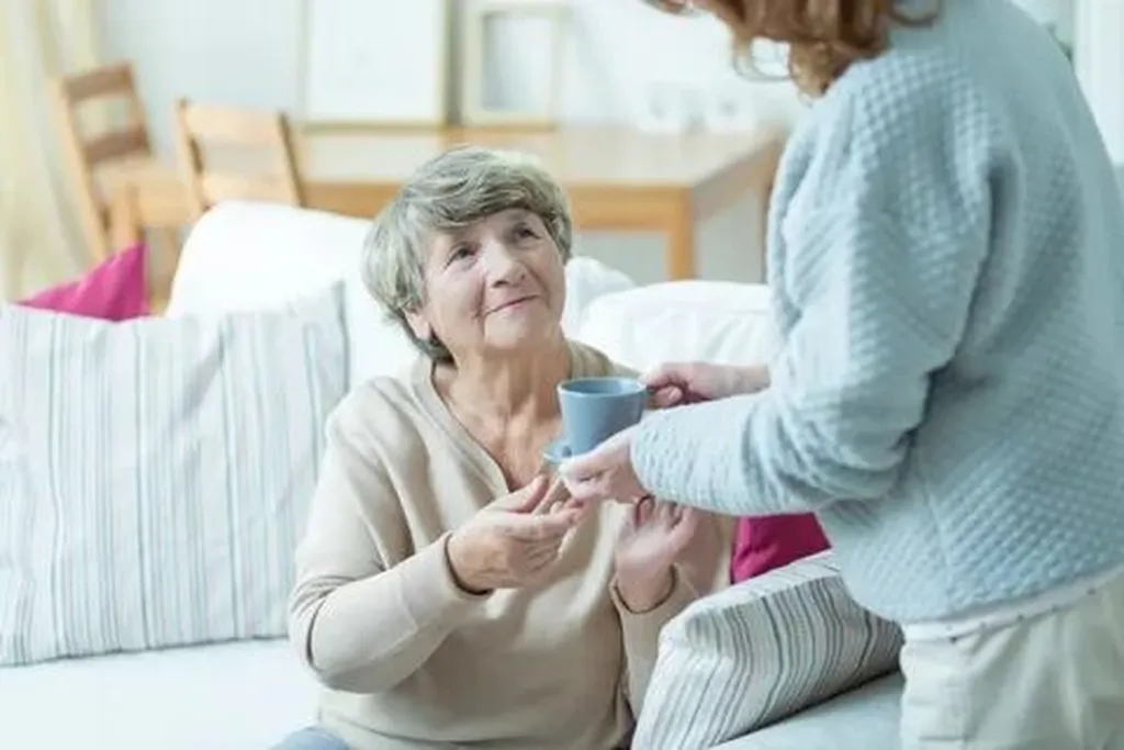 Recommendations for Choosing a Sturdy Cane Crutch Tip