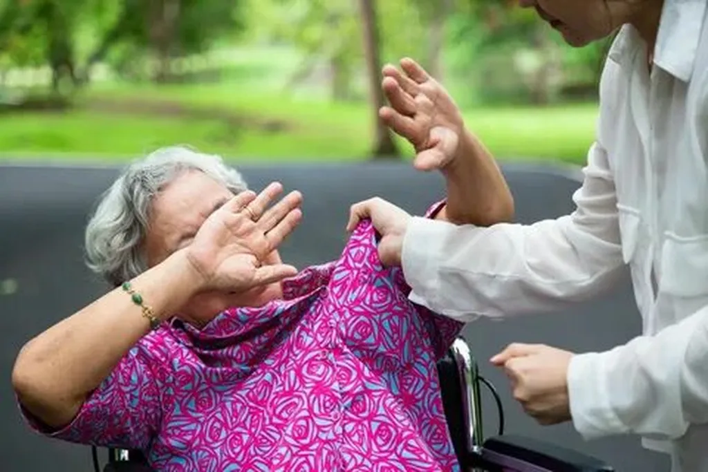 Choosing the Right Mobility Aid for Your Needs