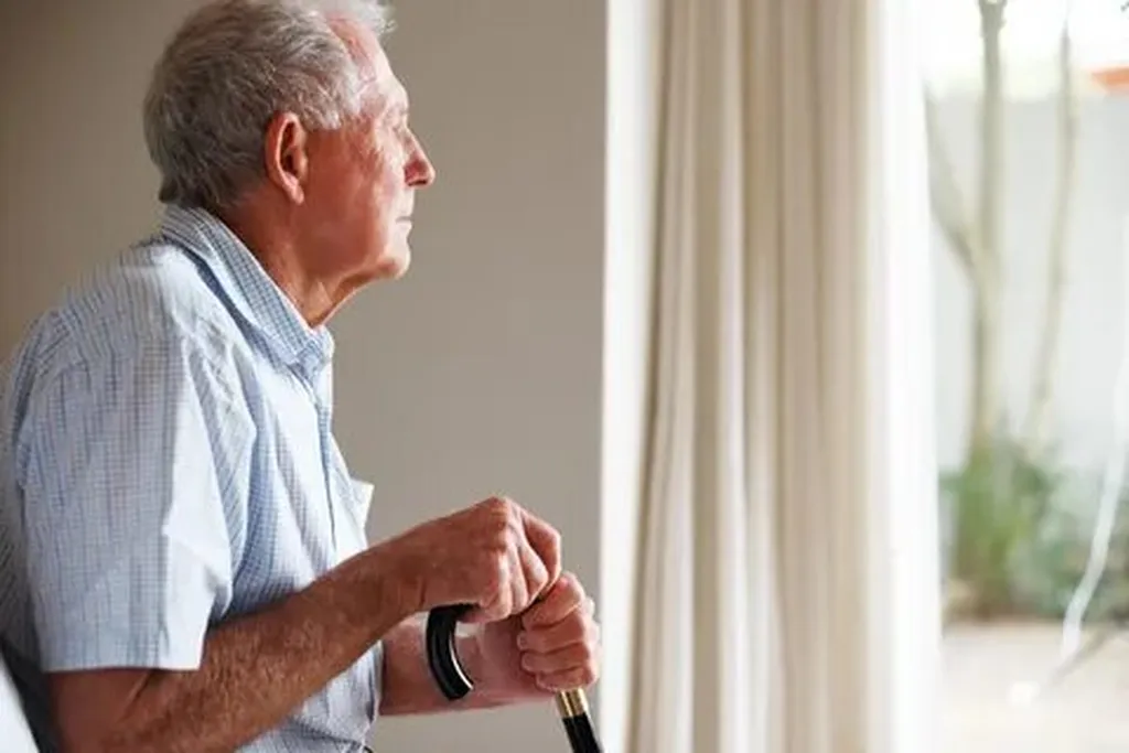 Importance of Proper Training and Education for Safe Use of Mobility Aids