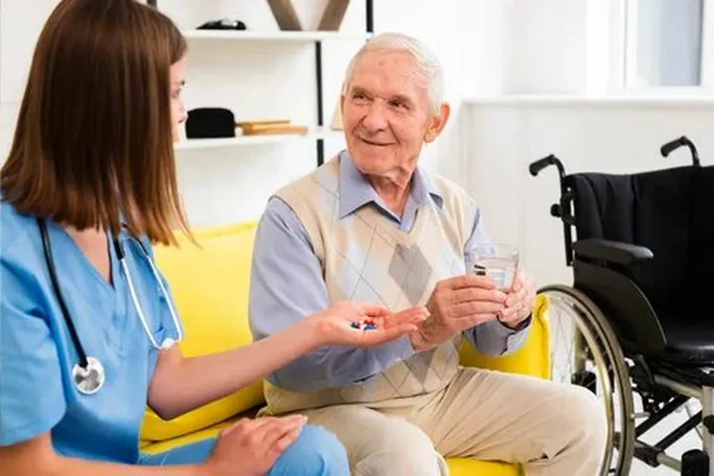 Preventative Measures and Recommendations for Enhancing Safety in Elderly Mobility Aids