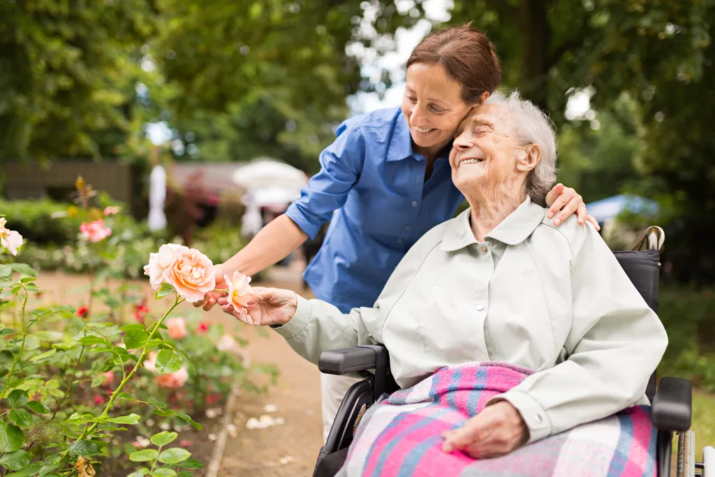 Overview of the Mobility Aids Affiliate Program