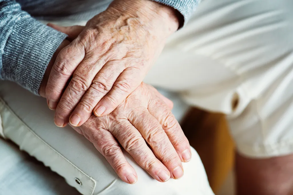 Understanding the Different Types of Mobility Equipment