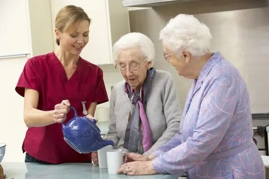 Enhancing Seniors' Quality of Life through Mobility Aids