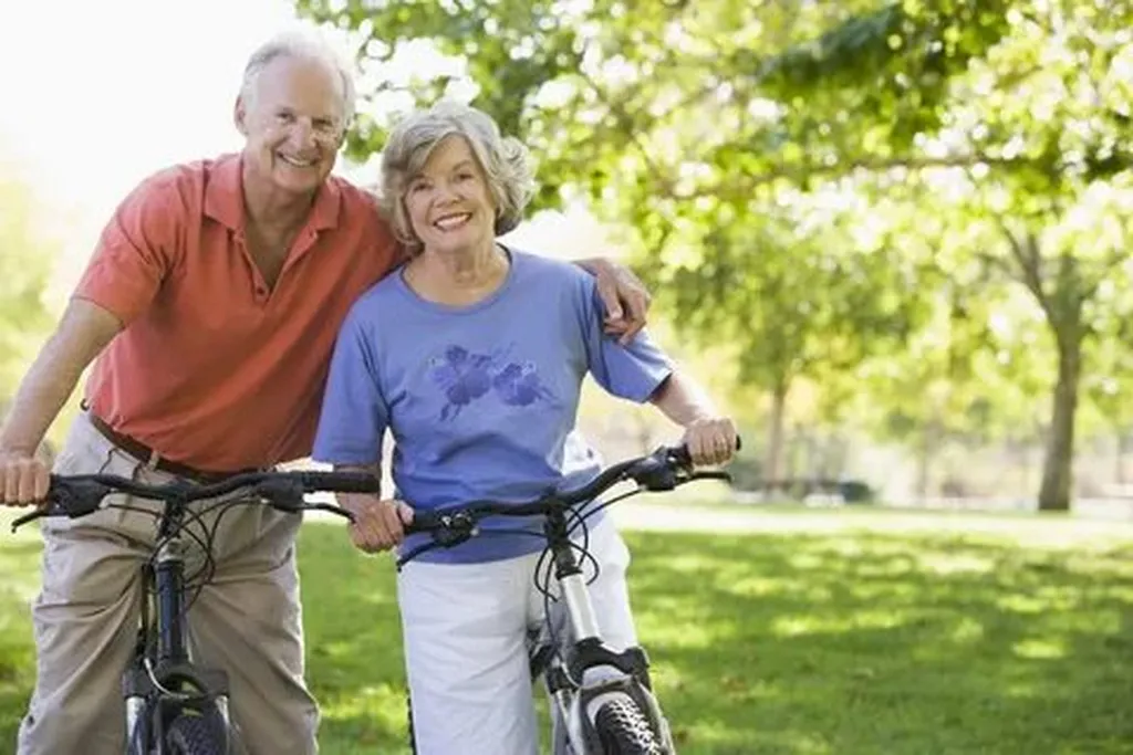 Ensuring Stability and Durability in Mobility Aids for Elderly