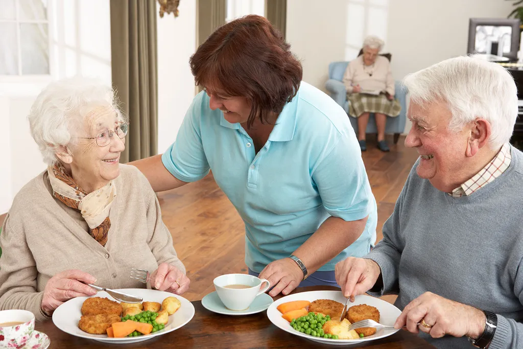 VA Companies Offering Tailored Home Care Services for Seniors